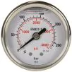 PRESSURE GAUGE 0-250 WITH REAR ENTRY - 0