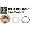 Interpump Service/Repair Kit 119 - 0