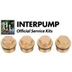 Interpump Service/Repair Kit 133 - 0
