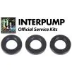 Interpump Service/Repair Kit 136 - 0