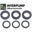 Interpump Kit 202 - 0