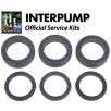 Interpump Service/Repair Kit 210 - 0