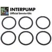 Interpump Service/Repair Kit 48 - 0