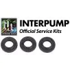 Interpump Service/Repair Kit 503 - 0