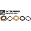 Interpump Service/Repair Kit 67 - 0