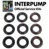 Interpump Service/Repair Kit 77 - 0