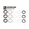 Interpump Service Seal Kit KIT314 - 0