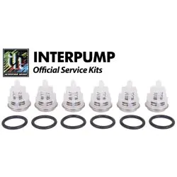 Interpump Kit 123 valves