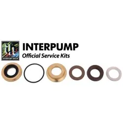 Interpump Kit 166