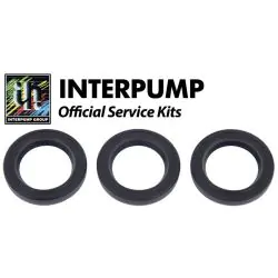 Interpump Service/Repair Kit 23