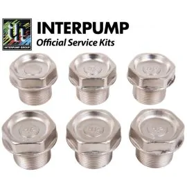 Interpump Service/Repair Kit 106