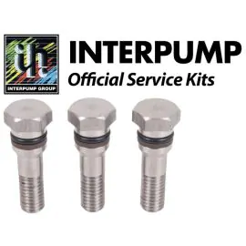 Interpump Service/Repair Kit 107