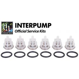 Interpump Kit 123 valves