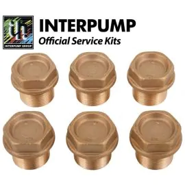 Interpump Service/Repair Kit 124