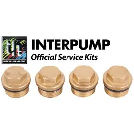 Interpump Service/Repair Kit 133
