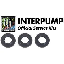 Interpump Service/Repair Kit 147