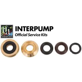 Interpump repair kit 151