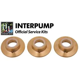 Interpump Service/Repair Kit 154
