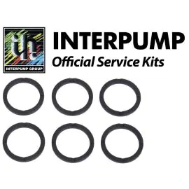 Interpump Kit 155