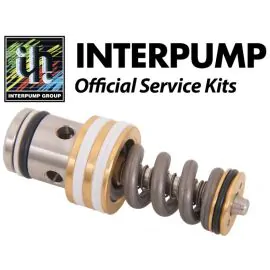 Interpump Service/Repair Kit 168