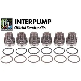 Interpump Service/Repair Kit 2030