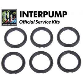 Interpump Service/Repair Kit 21