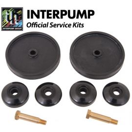Interpump Service Kit 35