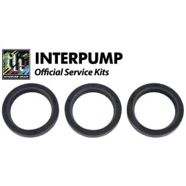 Interpump Repair Kit 37