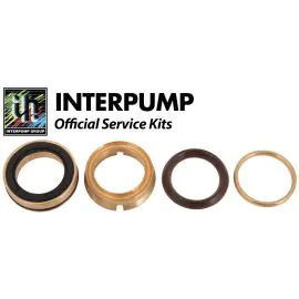 Interpump Repair Kit 39