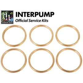 Interpump Repair Kit 41