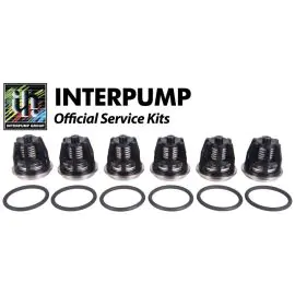 Interpump Repair Kit 43