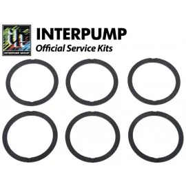 Interpump Repair Kit 48