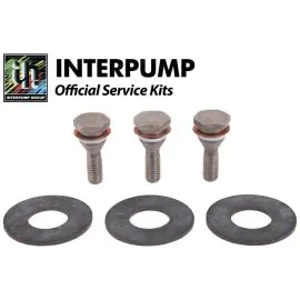 Interpump Repair Kit 54
