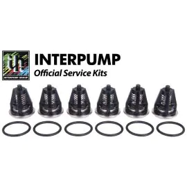 Interpump repair kit 62
