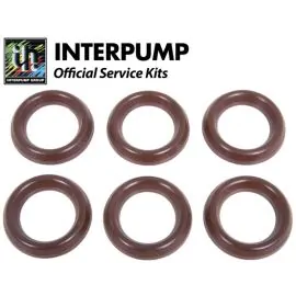 Interpump repair kit 63