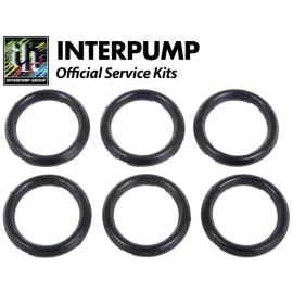 Interpump repair kit 65