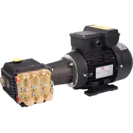 Interpump FE51 Pressure Washer Motor Pump 100 BAR 1 LPM