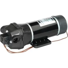 Flojet 4000 Series Demand Pump - 12V R4300-143A
