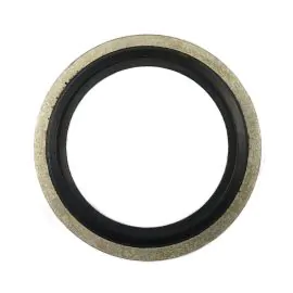 A 1" Stainless steel Dowty bonded seal that seals threads and flange joints, the disc has a metallic ring and rubber sealing pad which are bonded together. The seal is self-centering and was designed to eliminate leaks due to seals becoming offset.