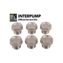 Interpump Service/Repair Kit 5 Valve Caps